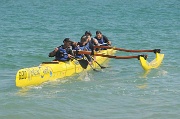 web_065