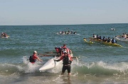 web_050