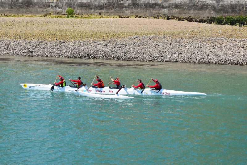 DSC_1377.JPG